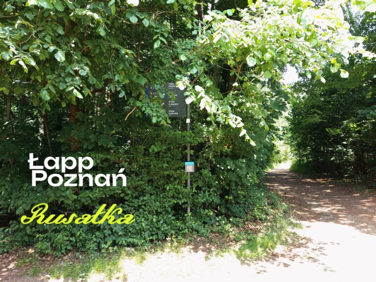 Punkt startowy 3 przy mostku bobrowym i drodze na Strzeszynek