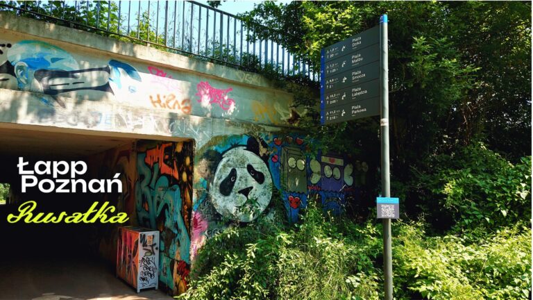 Punkt startowy 5. Od ul. Botanicznej