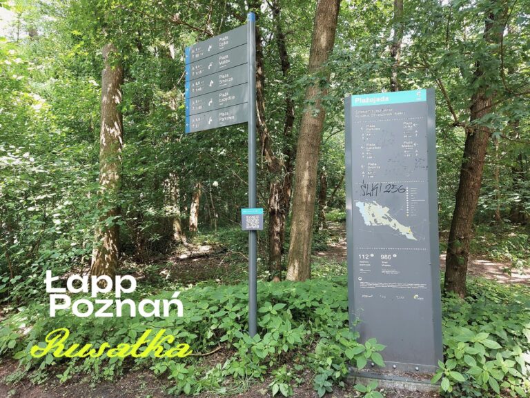 Punkt startowy 2. przy wejściu na plażę nad Rusałką