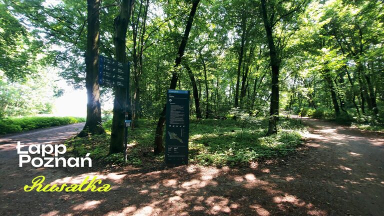 Punkt startowy 4. od strony Woli / dzikiej plaży po stronie południowej